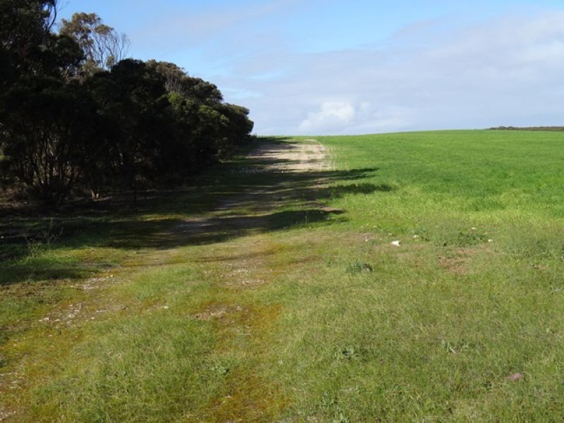 961 Ferries McDonald Road, Monarto South SA 5254