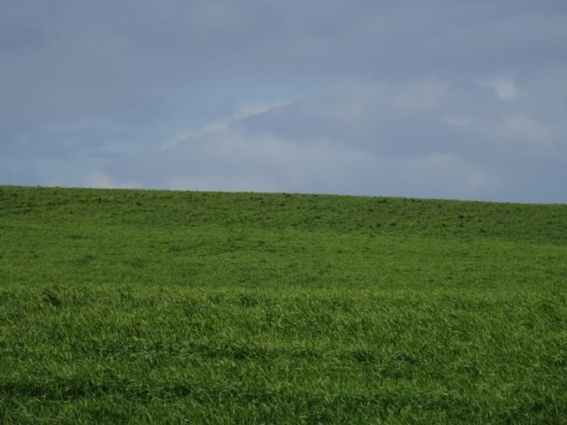 961 Ferries McDonald Road, Monarto South SA 5254