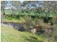 Lot 2 South Bremer Road, Hartley SA 5255