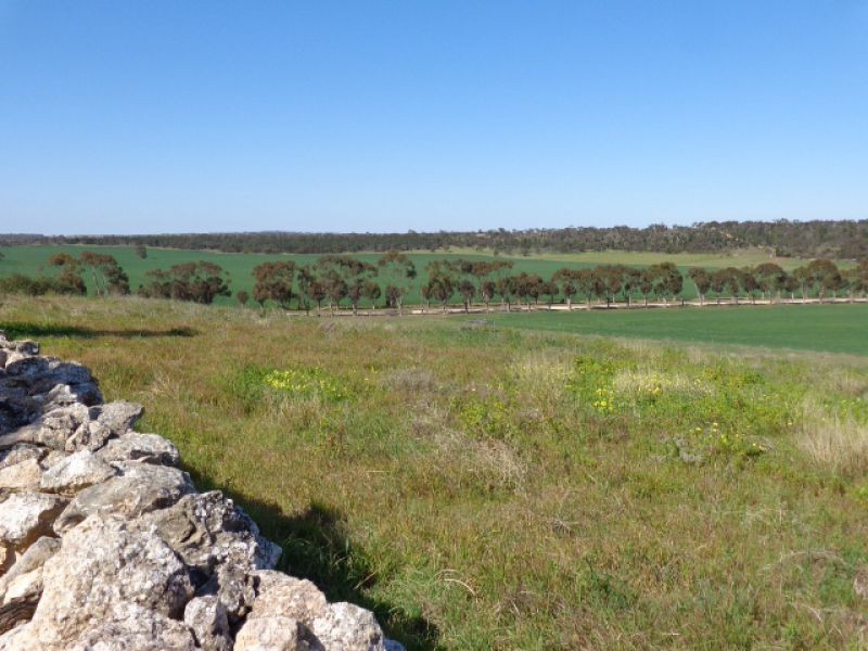 Lot 2 South Bremer Road, Hartley SA 5255