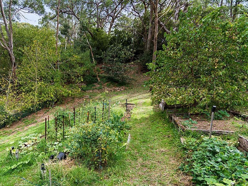 550 Mount Lofty Summit Road, Summertown SA 5141