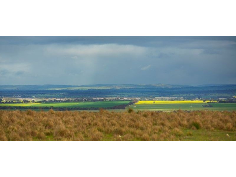 Sec 255 Chaunceys Line Rd, Hartley SA 5255