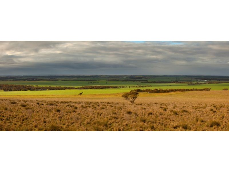 Sec 255 Chaunceys Line Rd, Hartley SA 5255