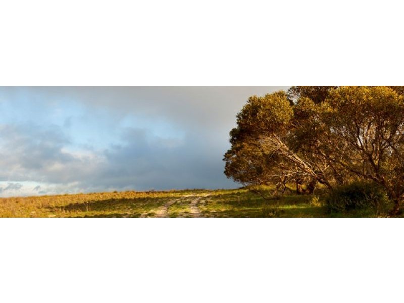 Sec 255 Chaunceys Line Rd, Hartley SA 5255