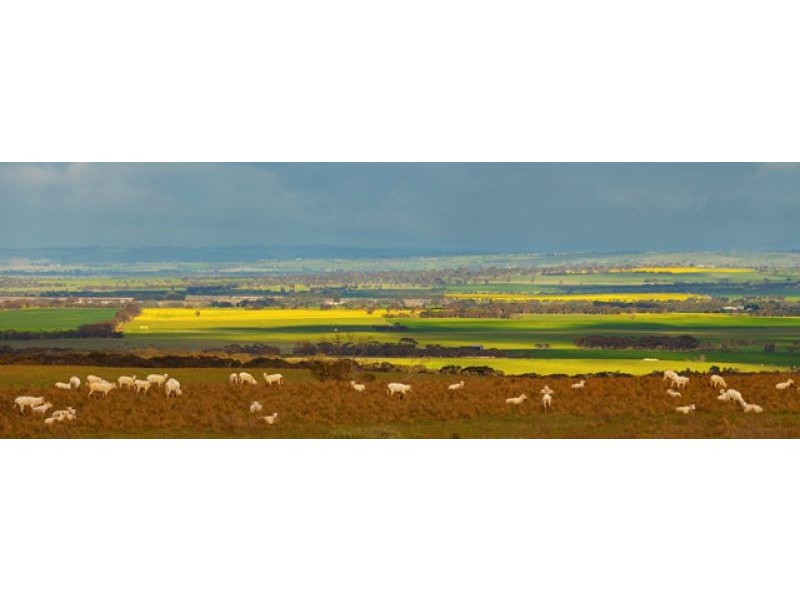 Sec 255 Chaunceys Line Rd, Hartley SA 5255