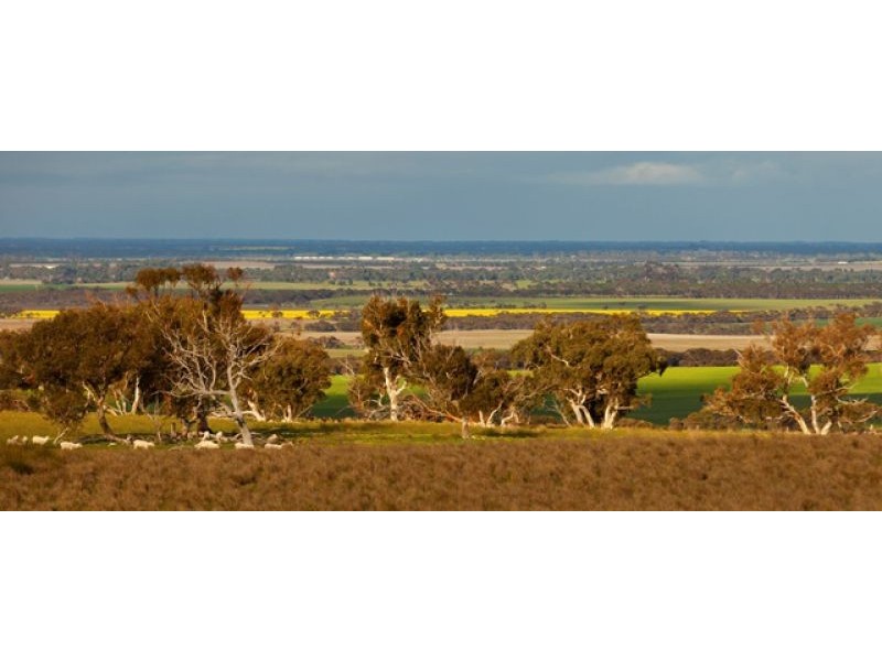 Sec 255 Chaunceys Line Rd, Hartley SA 5255