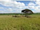 L125 Law Road, Monarto SA 5254