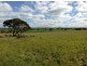 L125 Law Road, Monarto SA 5254