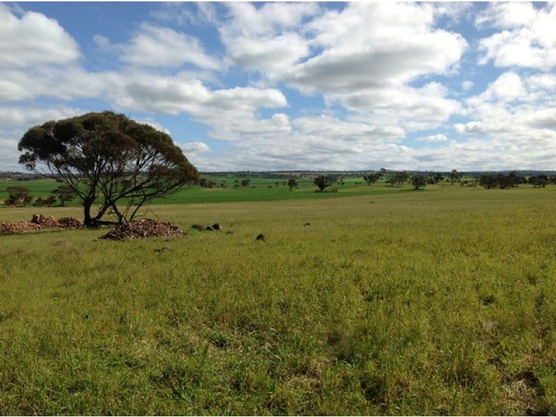 L125 Law Road, Monarto SA 5254
