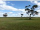 L125 Law Road, Monarto SA 5254