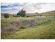 121 Wirilda Road, Harrogate SA 5244