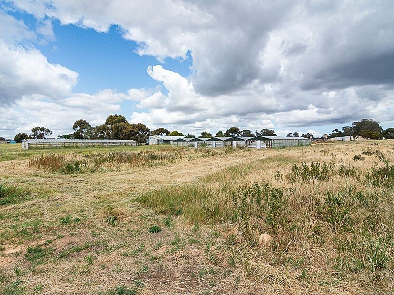 30 Bremer Road, Murray Bridge SA 5253