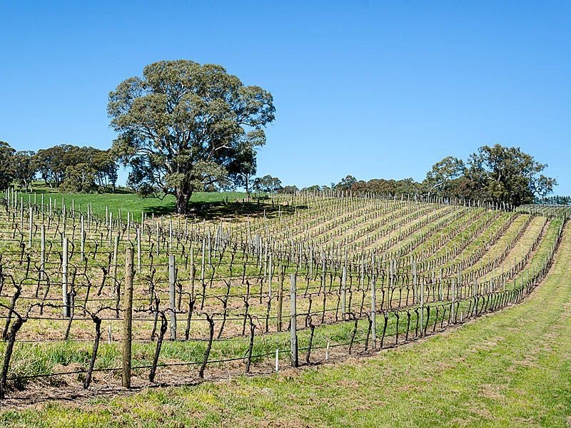 239 Kenton Valley Road, Gumeracha SA 5233