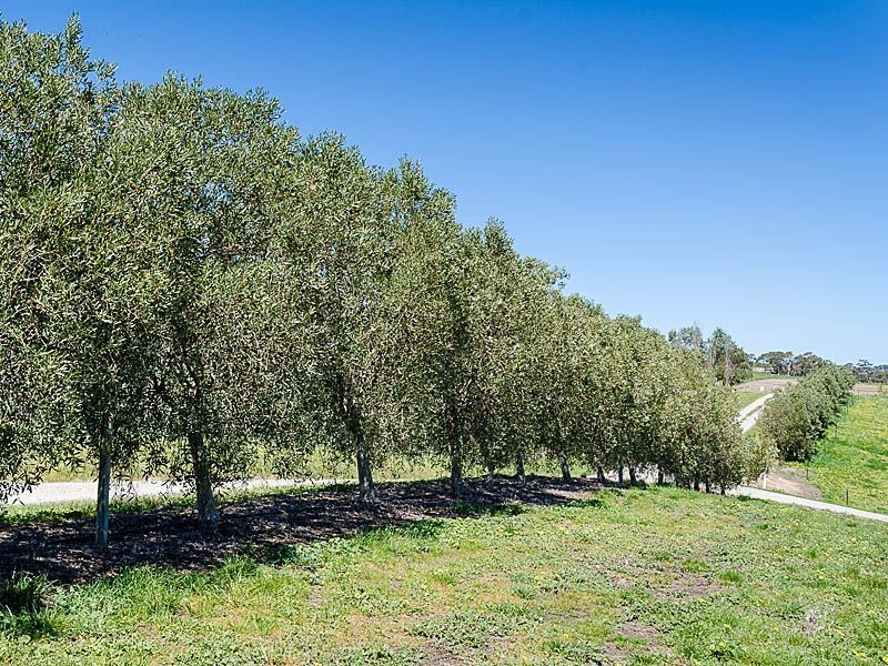 239 Kenton Valley Road, Gumeracha SA 5233