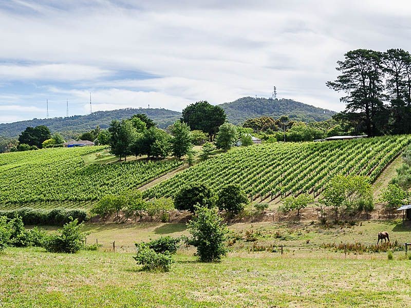 L2 Greenhill Road, Summertown SA 5141