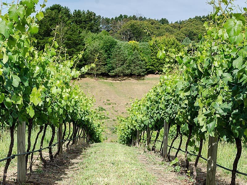 L2 Greenhill Road, Summertown SA 5141