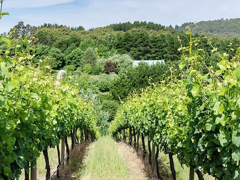 L2 Greenhill Road, Summertown SA 5141