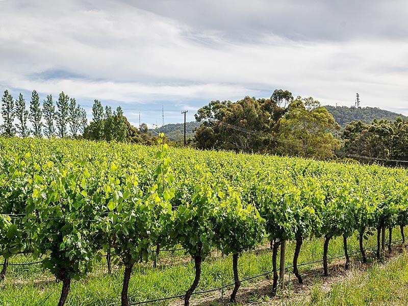 L2 Greenhill Road, Summertown SA 5141