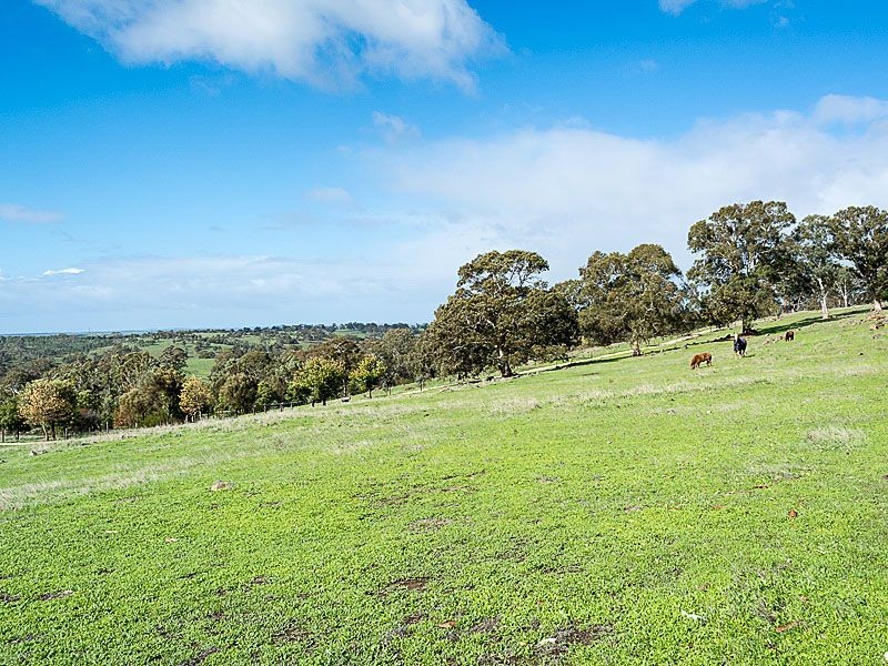 957 Old Princes Highway, Dawesley SA 5252