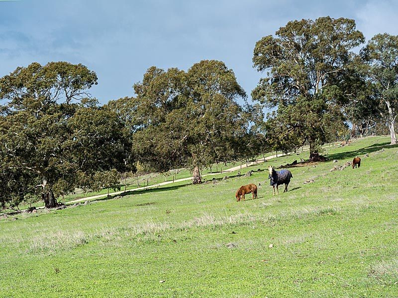 957 Old Princes Highway, Dawesley SA 5252