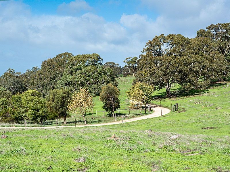 957 Old Princes Highway, Dawesley SA 5252