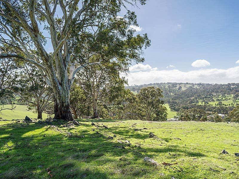 957 Old Princes Highway, Dawesley SA 5252