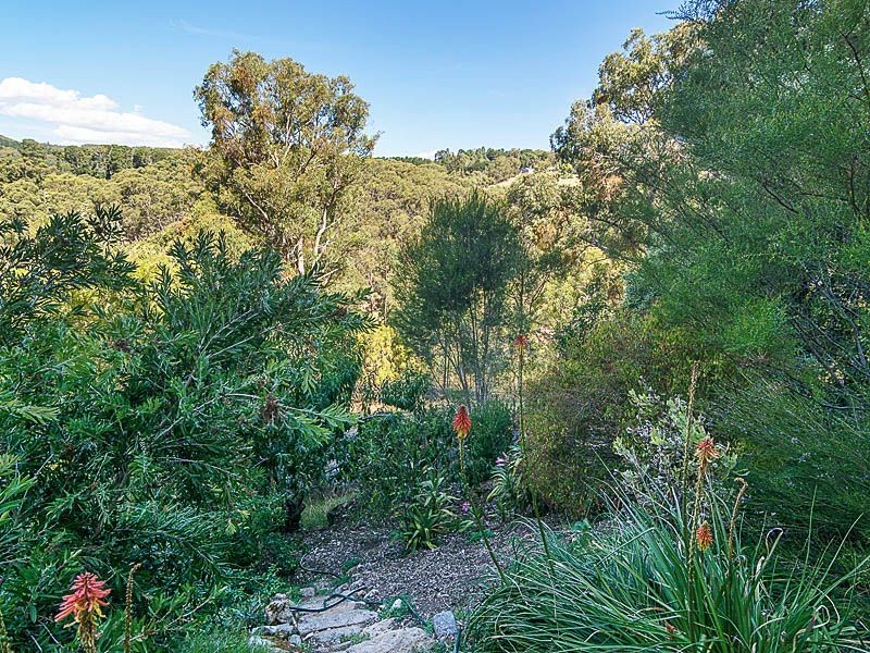 113 Knotts Hill Road, Basket Range SA 5138
