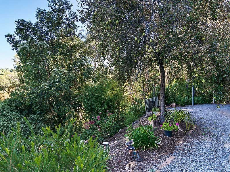 113 Knotts Hill Road, Basket Range SA 5138