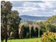 163 Hawthorn Road, Mount Barker SA 5251