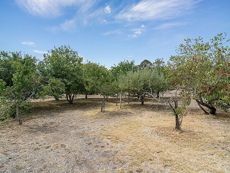 53 Liebelt Road, Biggs Flat SA 5153