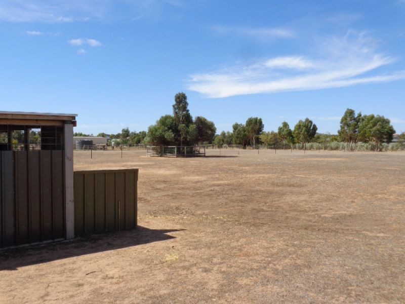 203 Nine Mile Road, Strathalbyn SA 5255