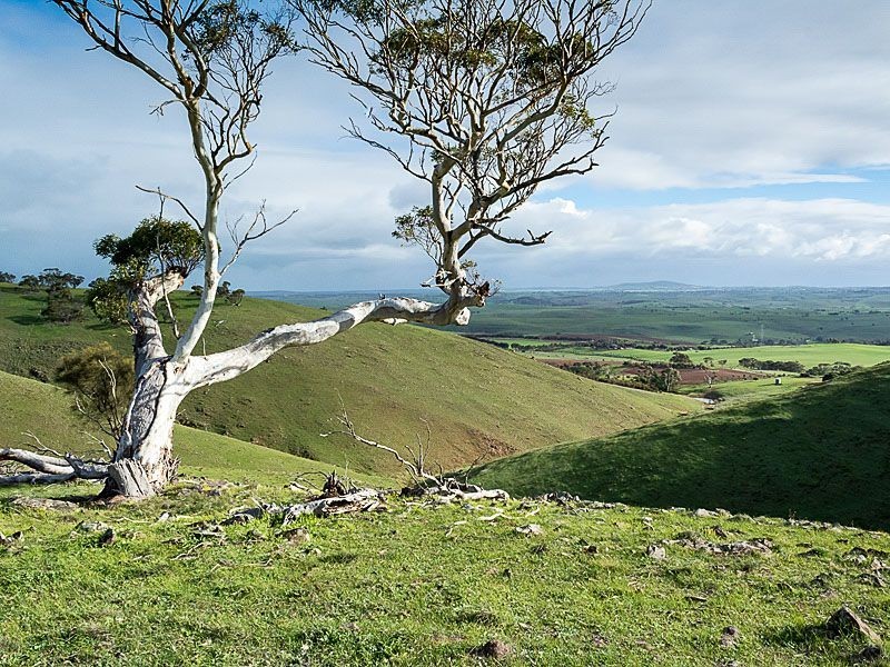 L11 Steep Hill Road, Rockleigh SA 5254