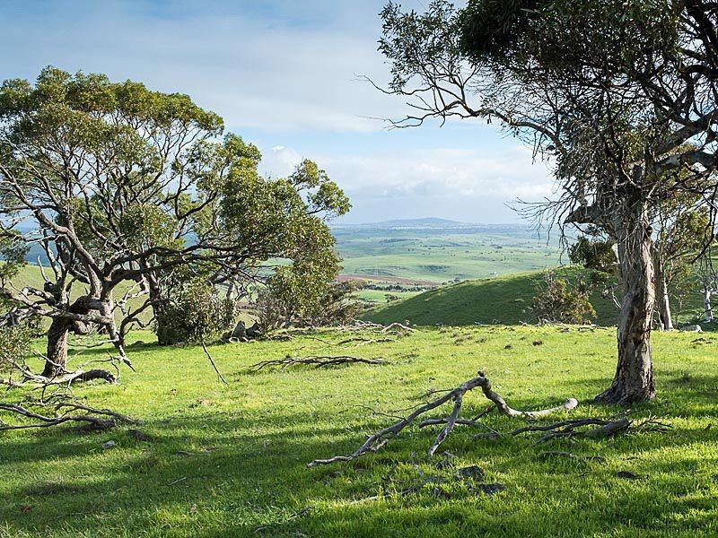 L11 Steep Hill Road, Rockleigh SA 5254