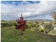 39 Yaktanga Way, Mount Barker SA 5251