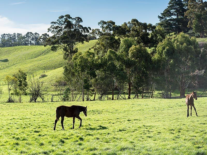 140 Swamp Road, Balhannah SA 5242