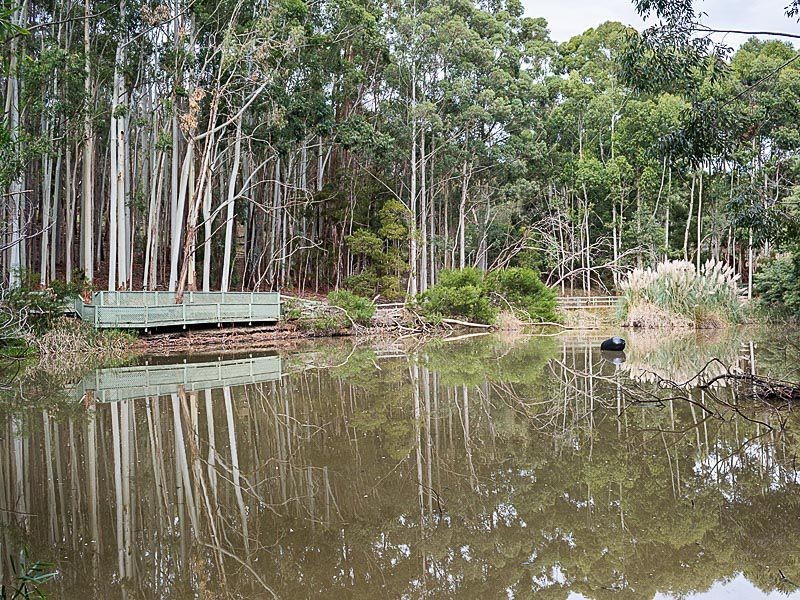 Stock Road, Mylor SA 5153