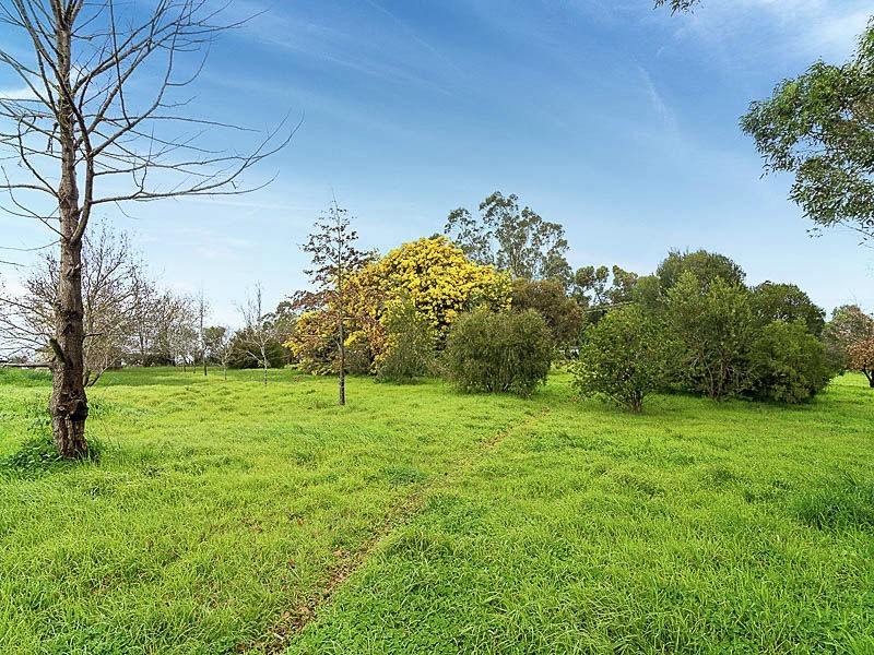 142 Berry Road, Chapel Hill SA 5153