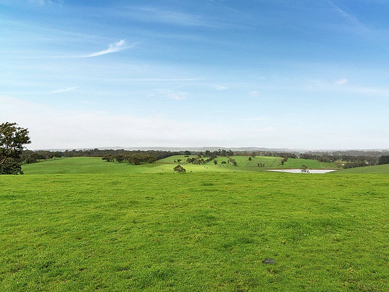 142 Berry Road, Chapel Hill SA 5153