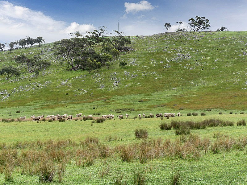 547 Bondleigh Rd, Rockleigh SA 5254