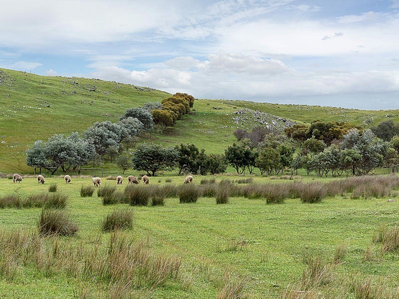 547 Bondleigh Rd, Rockleigh SA 5254