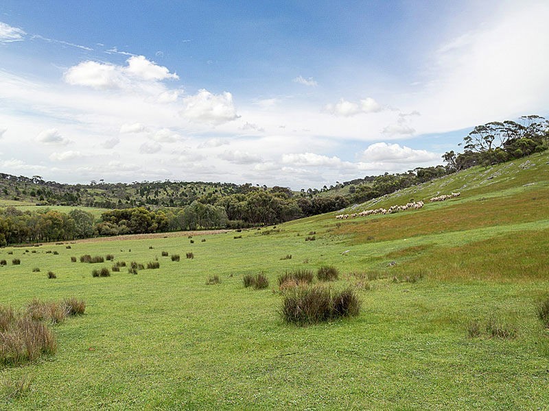 547 Bondleigh Rd, Rockleigh SA 5254