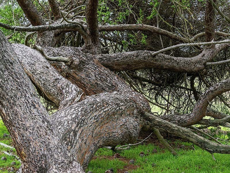 547 Bondleigh Rd, Rockleigh SA 5254