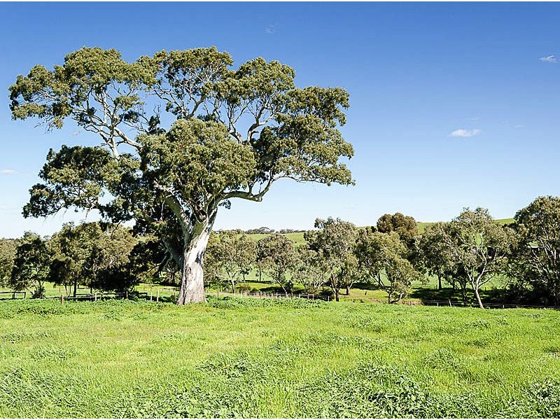 1270 Long Valley Road, Strathalbyn SA 5255