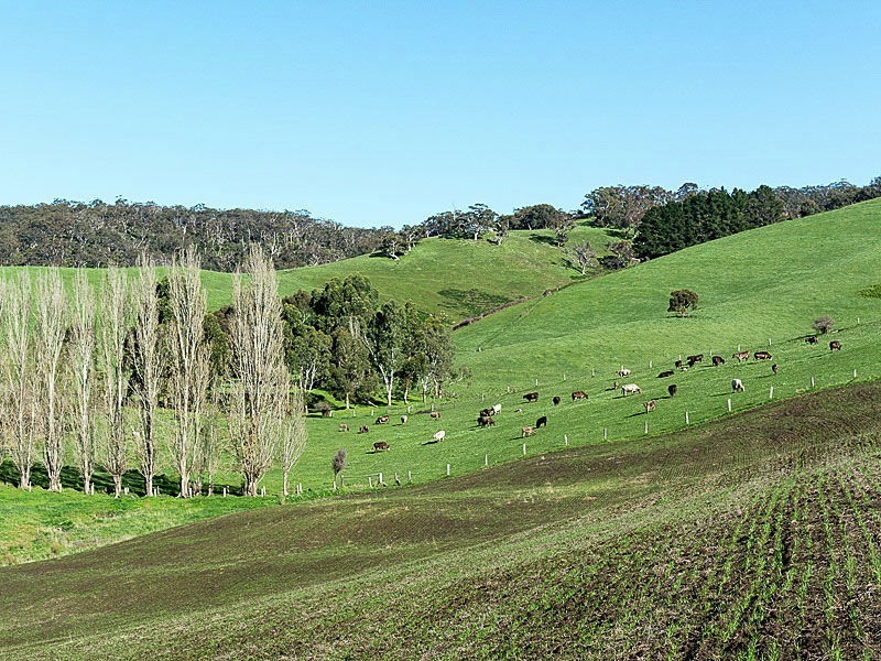Lot 3 Bull Creek Road, Bull Creek SA 5157
