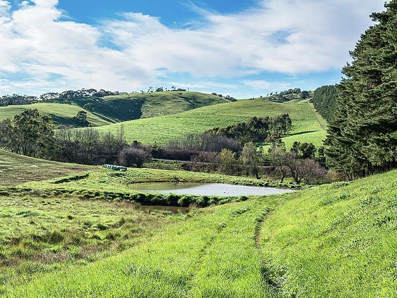 Lot 3 Bull Creek Road, Bull Creek SA 5157