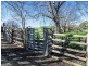 Lot 3 Bull Creek Road, Bull Creek SA 5157