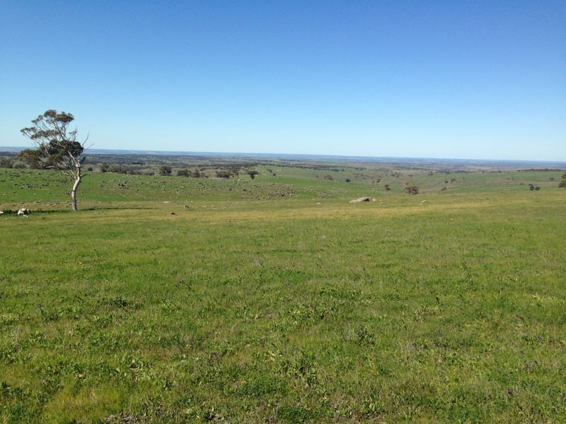 Sec 97 Range Road, Rockleigh SA 5254