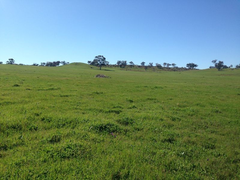 Sec 97 Range Road, Rockleigh SA 5254