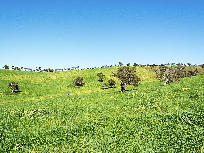 Lot 1 Hope Watts Road, Brukunga SA 5252