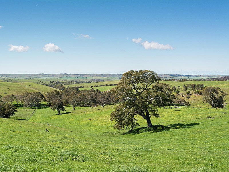 Lot 1 Hope Watts Road, Brukunga SA 5252